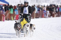 Lenk 2013